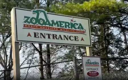 Wolf Injures Toddler at ZooAmerica After Hand Enters Enclosure