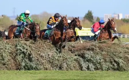 Grand National Odds: Expect These 20-1, 33-1, 40-1 Horses to Shorten