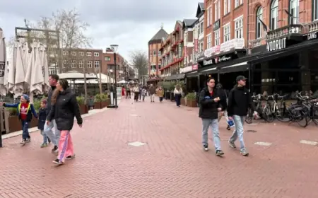 Eindhoven’s Market Remains Quiet and Peaceful