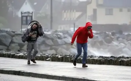 Storm Dave Disrupts Dublin Airport: 17 Flights Canceled, 18,000 Lose Power