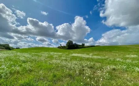 New Aquitaine Weather: What to Expect on Thursday, April 2