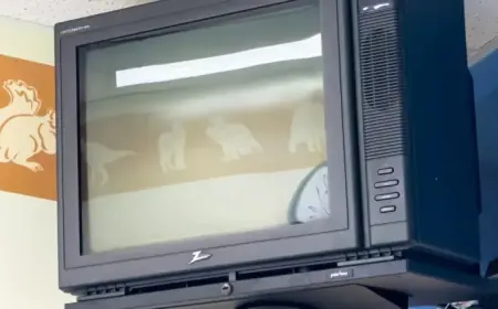 The Disappearance of Zenith TVs: Unraveling the American Brand’s Decline