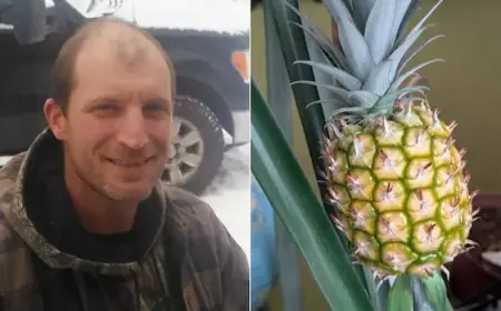 Yukon Resident Cultivates Pineapple at Home in Just 9 Years