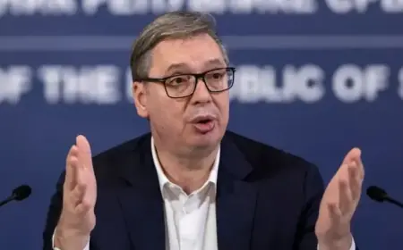 Explosive-Laden Backpacks Discovered Near Serbia-Hungary Gas Pipeline, Leaders Report