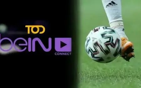 Guide to TOD TV: Subscription Costs and Live Match Streaming 2026