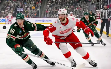 Red Wings Face Wild: Goalie Decision Between Gibson and Talbot
