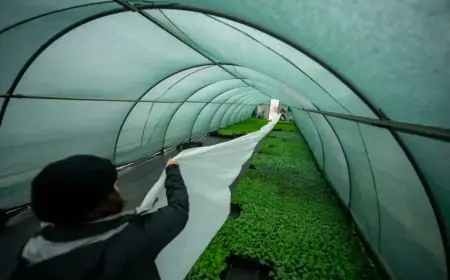 Utah Faces Freeze Warning Amid Rain, Snow, and Hail