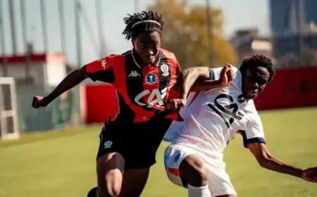 Montpellier Defeats Opponent 3-1, Ending Their Journey