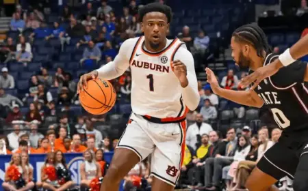 Tulsa vs Auburn: Predictions, Picks & Odds for NIT Final Tonight