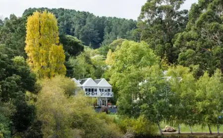 Essential Insights for Your Tree Change Journey