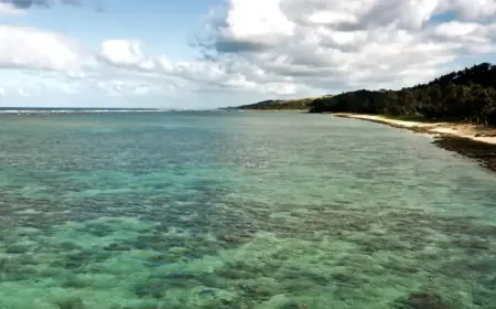 Cruise Ship Stranded on Fiji Reef