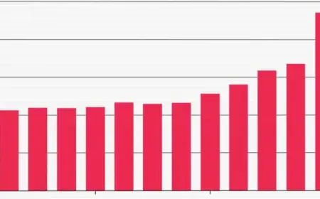 Apple’s App Store Sees 84% Surge in New Apps This Quarter