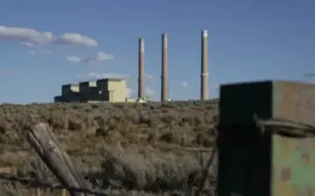 Professional Smash and Grab Targets High-End Retailer