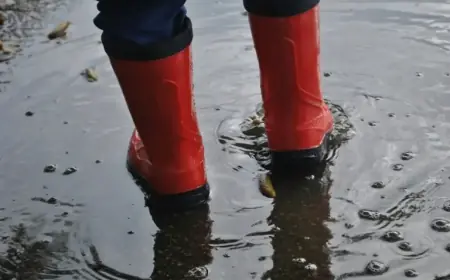 City Invests Heavily in Four Sault Ponds Restoration Efforts