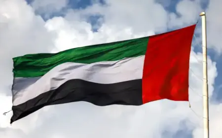 UAE Thwarts Nine Ballistic Missiles, One Cruise Missile, and 50 Drones Sunday