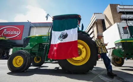 Mexican Farmers Criticize Failed Federal Talks, Warn of Crisis Point