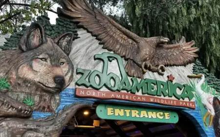 Child Injured in Wolf Enclosure at ZooAmerica as Parents Watch