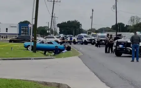 Vehicle Strikes Crowd at Louisiana Parade, Injuring Over a Dozen
