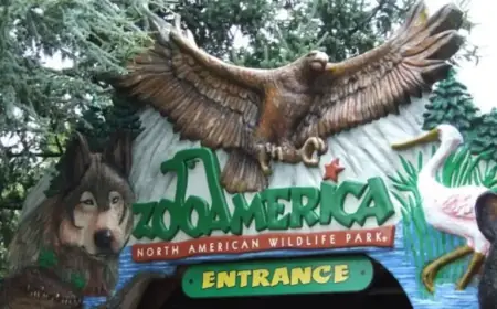 Hershey Police Charge Parents After Wolf Injures Child at ZooAmerica