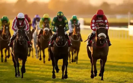 Goraibhmaithagat: Will Bettors Celebrate Victory at 2026 Irish National?