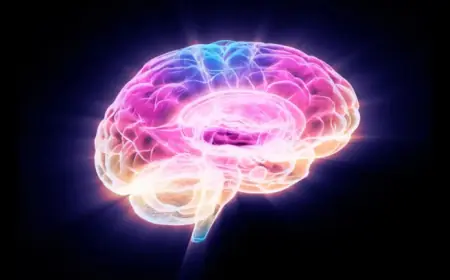 Scientists Discover Protein Driving Brain Aging and Ways to Halt It