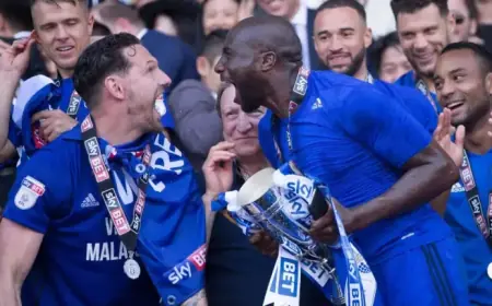 Heroes of Cardiff City’s Last Promotion: New Careers and Heartbreaks Revealed