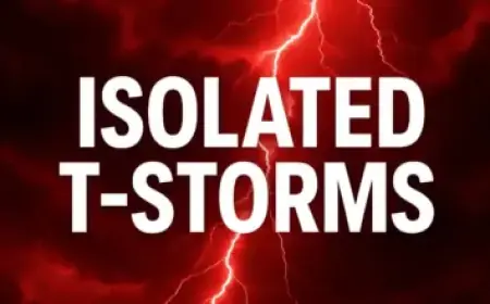 Sabrina Carpenter, Margaret Qualley, Madelyn Cline Glam Up Grand Larceny in ‘House Tour’