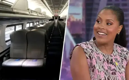 Sheinelle Jones Falls Asleep, Stranded on Amtrak Train