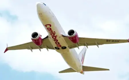 Mid-Air Miracle: Passenger Delivers Baby on Flight to New York