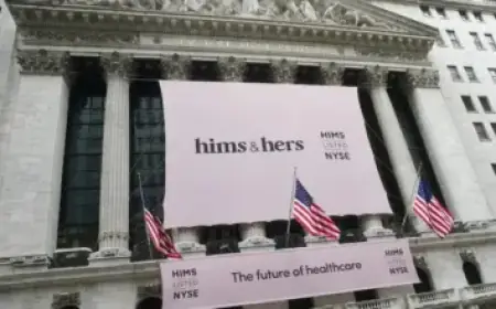 Adgemis’ Leftovers Ignite Battle Among Lawyers and Liquidators