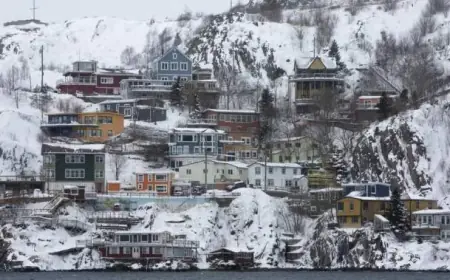 Stranded Flight’s Tale Brings Warm Laughter to Chilly Newfoundland Island