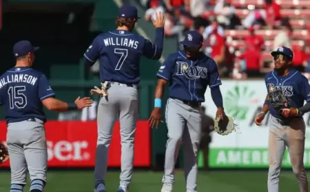 Cubs vs. Rays Series Preview: What to Expect This Season