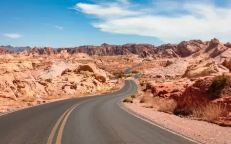 Silence the Noise: Focus on What Matters