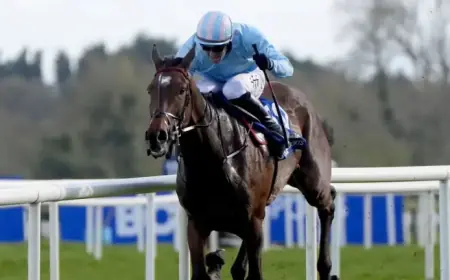 Soldier In Milan Triumphs at Irish Grand National in Fairyhouse