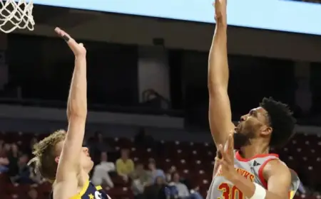 Rockets Add Bradley, Waive Houstan