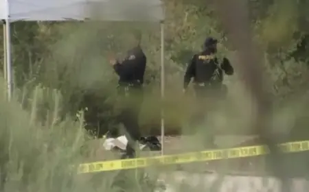 Police Investigate Discovery of Small Human Skull During Easter Egg Hunt