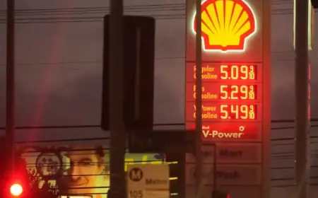 Wall Street Fuels Donald Trump’s Devastating Iran Conflict