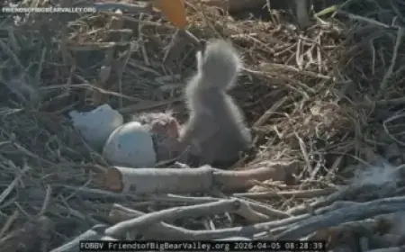 Jordan Smith’s Journey Since Winning ‘The Voice’