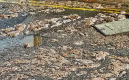 NBA Fans React to Victor Wembanyama’s Injury News During Spurs Game