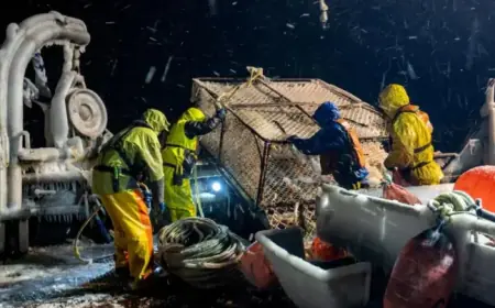 ‘Deadliest Catch’ Star Todd Meadows’ Death Cause Uncovered