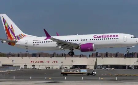 Mid-Air Birth Sparks Complex Legal Questions