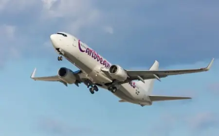 Woman Delivers Baby on Flight from Jamaica to JFK Airport, NYC