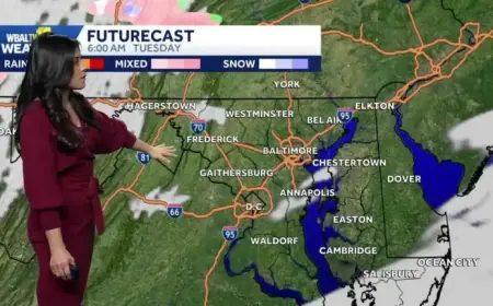 Cooler Temperatures Arrive in Baltimore Area Early This Week