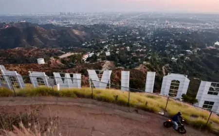 Report Reveals AI Not to Blame for California’s Creative Job Losses