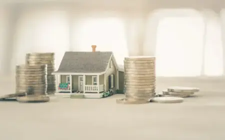 Clarifying the Chaotic Mortgage Market