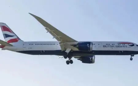 Stranded Airline Passengers Experience NL Hospitality Amid St. John’s Diversion