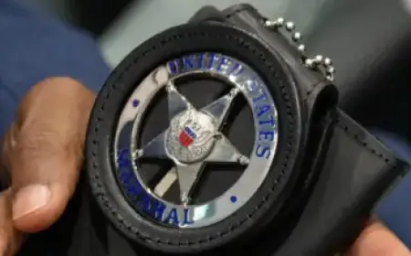 2026 runDisney Virtual Series Medals Unveiled: Go the Distance