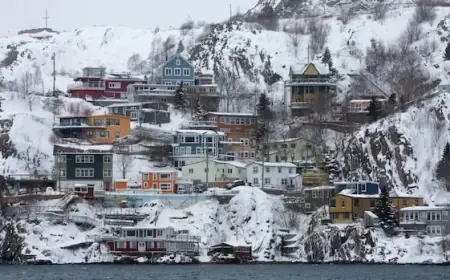Stranded Flight’s Chilly Tale Warms Hearts in Newfoundland