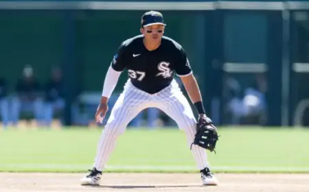 White Sox Move Austin Hays to IL, Select Dustin Harris