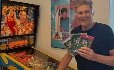 David Hasselhoff Uses Hiking Poles and Wife’s Support in Rare Outing